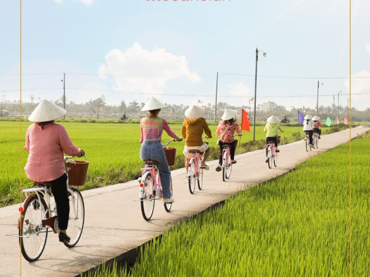 Đạp xe khám phá đất dừa Cẩm Thanh, hòa mình vào nhịp sống an lành nơi miền sông nước